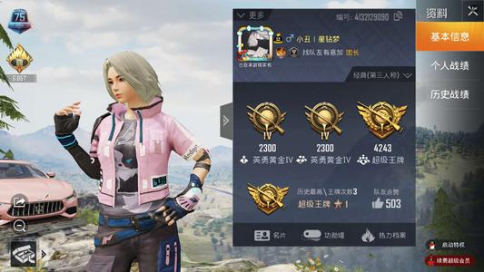 和平精英模拟器私人订制辅助